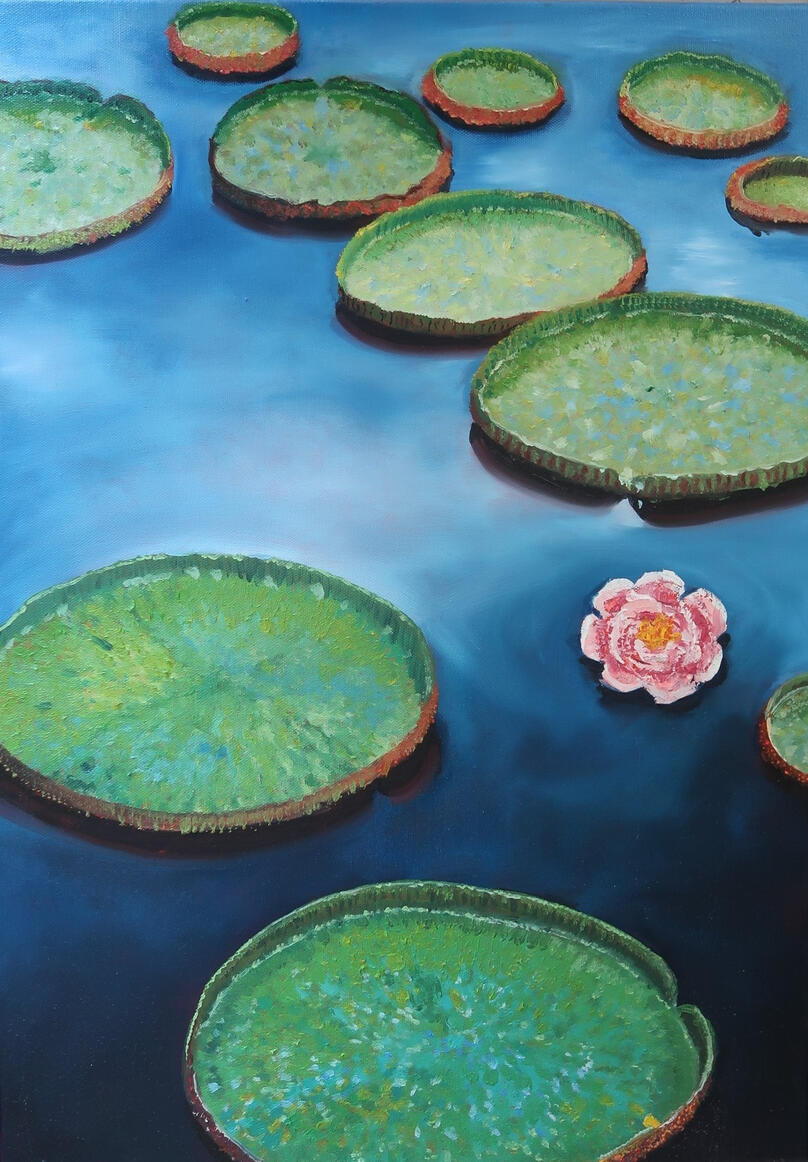 Lily Pads - A4 / 21cm x 29.7cm - £30