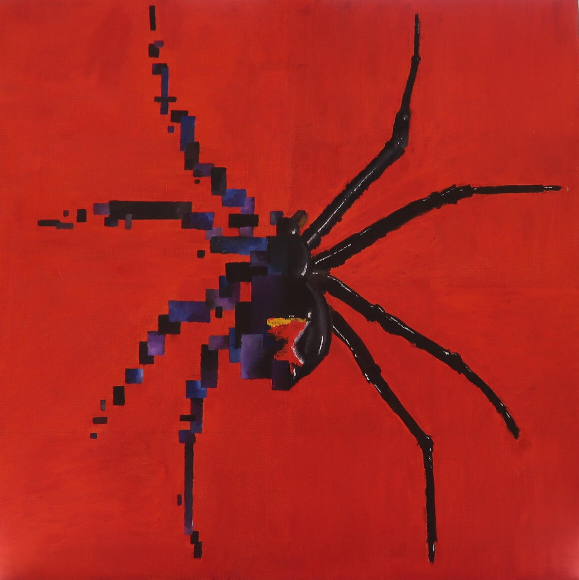 Spider - 30cm x 30cm - £35